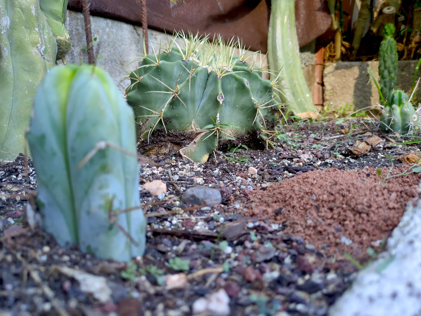 Vista panorámica San Pedro